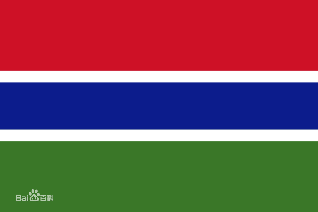冈比亚国旗插画图片素材_ID:408096694-Veer图库